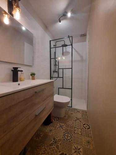 a bathroom with a toilet and a sink and a mirror at SUPERBE APPARTEMENT REFAIT A NEUF avec garage in Orcières