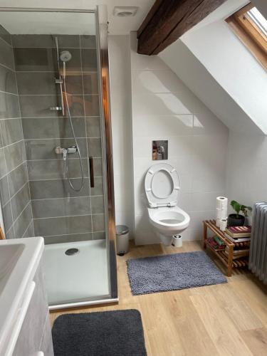 y baño con ducha, aseo y lavamanos. en Appartement 3 pieces centre du Hohwald # 201, en Le Hohwald