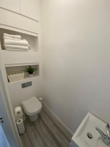 a white bathroom with a toilet and a sink at Spacious 2 Bedroom flat in Paddington in London
