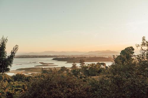 普拉亞做羅莎的住宿－Chalés e Bangalôs Ibiraquera，享有河滨树木的景色