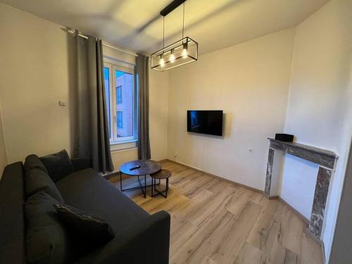 Cosy Apartment Merode في بروكسل: غرفة معيشة مع أريكة ومدفأة