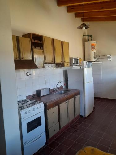 a kitchen with a stove and a sink and a refrigerator at Bella Vista in Potrerillos