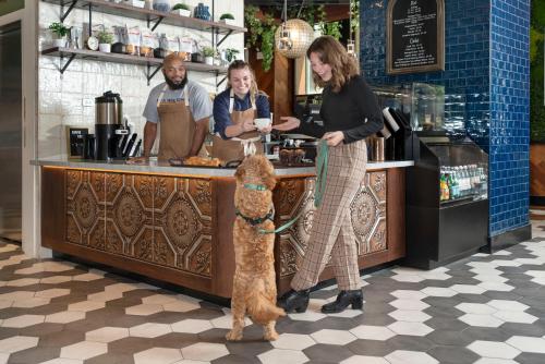 une femme avec un chien debout au comptoir dans l'établissement Hotel Saint Clair - Magnificent Mile, à Chicago