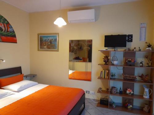 1 dormitorio con 1 cama, TV y estanterías en Mini appartamento vicino Roma, en Fiano Romano