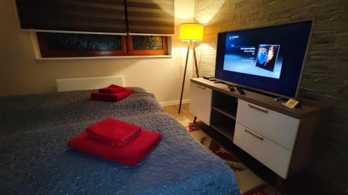 TV a/nebo společenská místnost v ubytování Cozy, Nice & Quiet apartment Lucky Sarajevo - Free public parking