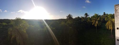 a sun shining over a forest of palm trees at Ocean View tabatinga residence in Nísia Floresta