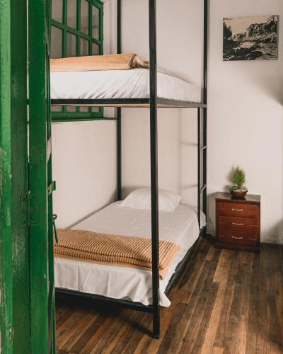 two bunk beds in a room with a wooden floor at Wild Monkey Hostel in Cuenca