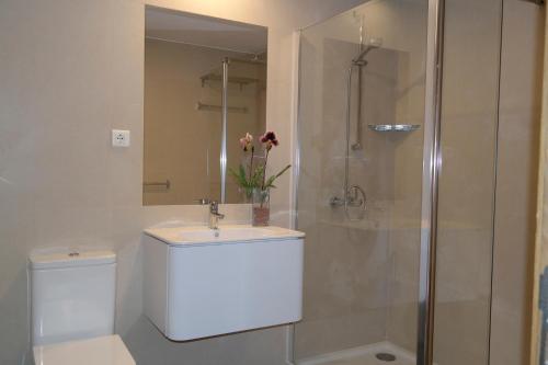 フンシャルにあるCozy Apartments Downtown - Funchal - Madeiraのバスルーム(トイレ、洗面台、シャワー付)