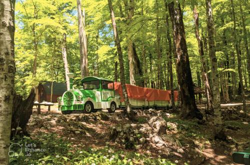 an old green truck parked in the woods at Modern Harmony in Kolašin