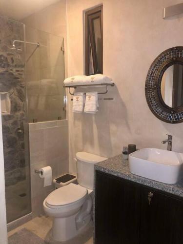 a bathroom with a toilet and a sink and a shower at Master Loft en Valquirico in Santeagueda