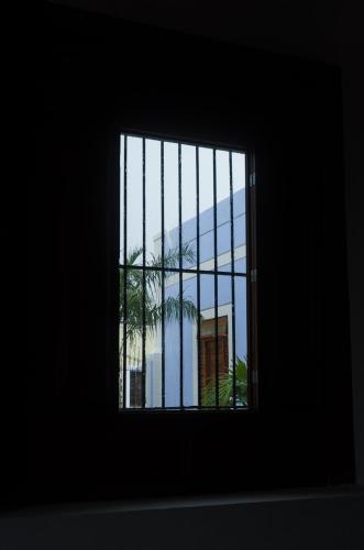 a window with a view of a palm tree at Las Lupitas Hotel Boutique in Campeche