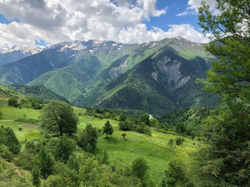 a green field with trees and mountains in the background at LeriMari in Mestia