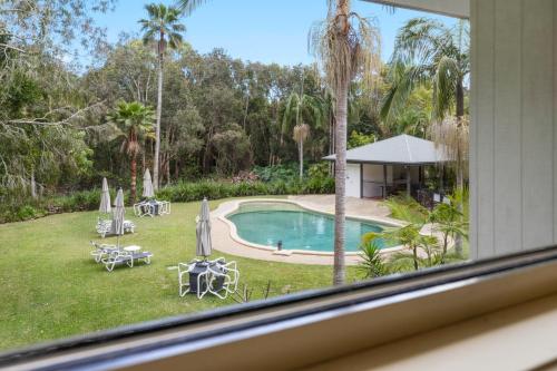 a window of a house with a pool and palm trees at Treetops Lakeside Apartments in Byron Bay