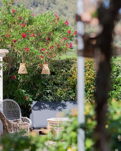a garden with pink flowers and chairs and a hedge at Mas Coeur Provence Calme Beauté Grand Parc in Pernes-les-Fontaines