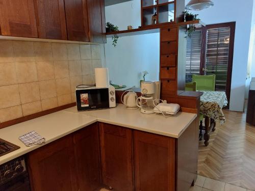a kitchen with a counter top with a microwave at Apartment Silvana-100m from beach in Božava