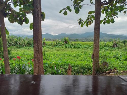a view of a field with mountains in the background at Sleep & fishing Pua in Nan