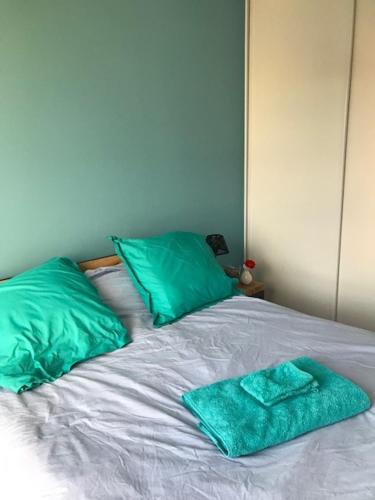 uma cama com duas almofadas verdes em cima em Chambre cosy privée Villeurbanne proximité centre ville place de parking privée selon disponibilité em Villeurbanne