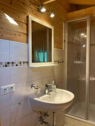 a bathroom with a sink and a shower at EifelGlückV in Rieden