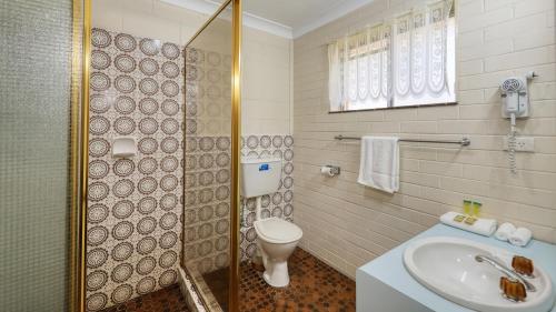 a bathroom with a toilet and a sink and a shower at Matthew Flinders Motor Inn in Coonabarabran