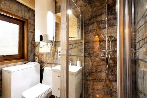 a bathroom with a toilet and a shower at DOMKI JANOSIK - Janosik Premium in Łopuszna