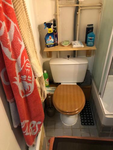 une petite salle de bain avec toilettes et douche dans l'établissement APPARTEMENT LA FOUX D'ALLOS, à La Foux