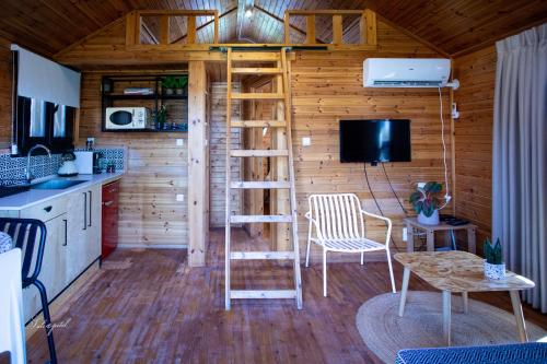 a tiny house with a ladder in a kitchen at ווילו בערבה in ‘En Yahav