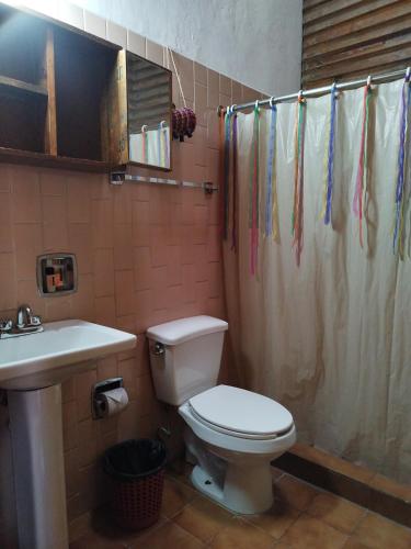 a bathroom with a toilet and a sink and a shower curtain at Lele Room Downtown Querétaro in Querétaro