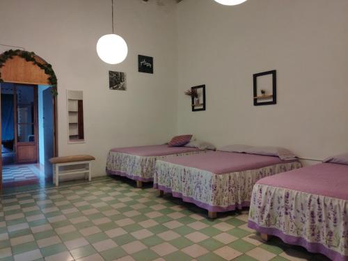 a room with three beds in a room at Lavanda Centro Histórico de Querétaro in Querétaro