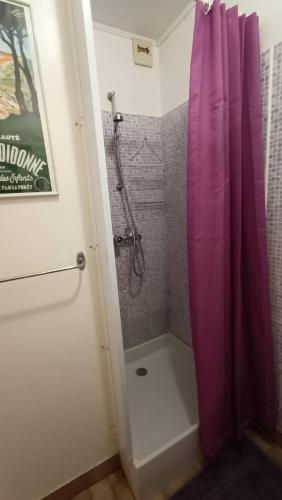 La salle de bains est pourvue d'une douche avec rideau de douche violet. dans l'établissement Joli studio - 2 pas de la mer et du centre, à Saint-Georges-de-Didonne