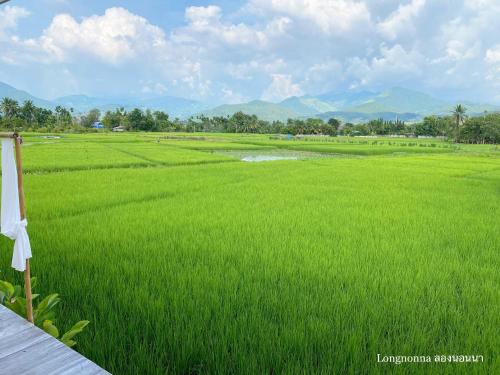a field of green grass with mountains in the background at ลองนอนนา Long Non Na in Ban Lao