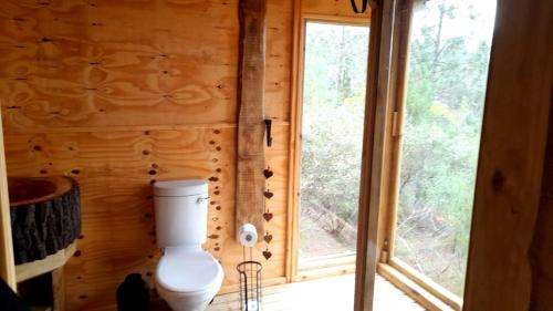 a toilet in a wooden room with a window at Lekkerkry in Plettenberg Bay