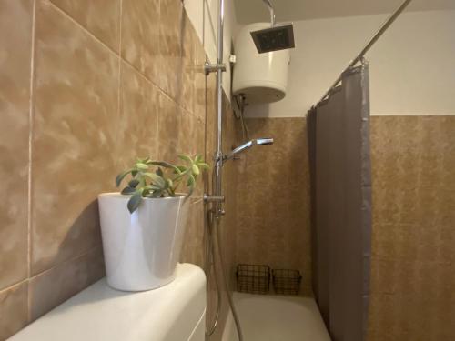 a bathroom with a shower with a potted plant on a toilet at Niky in Betina