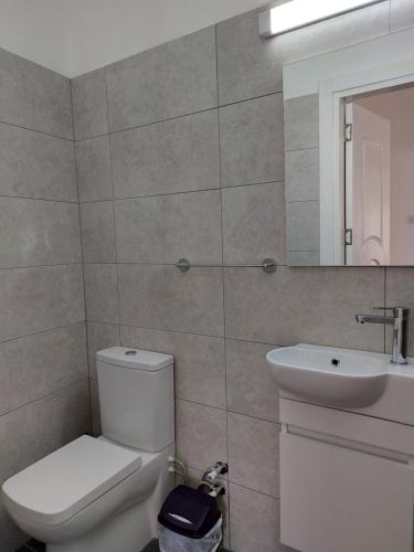 uma casa de banho com um WC, um lavatório e um espelho. em Secret garden no:01 em Famagusta
