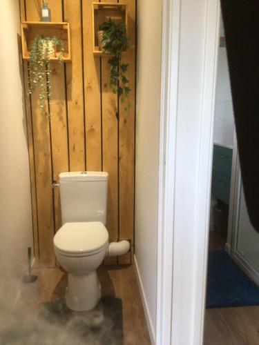 a bathroom with a toilet with a wooden wall at CHALET VINTAGE - Les Belles Ouvrières in Clermont-Créans