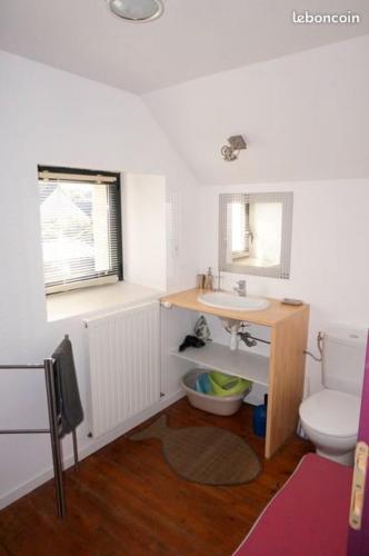 une salle de bain avec un lavabo, des toilettes et un miroir dans l'établissement Ty Yé, à Sarzeau