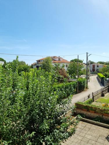 un jardín con arbustos y una pasarela en B&B Roccamonfina, en Roccamonfina