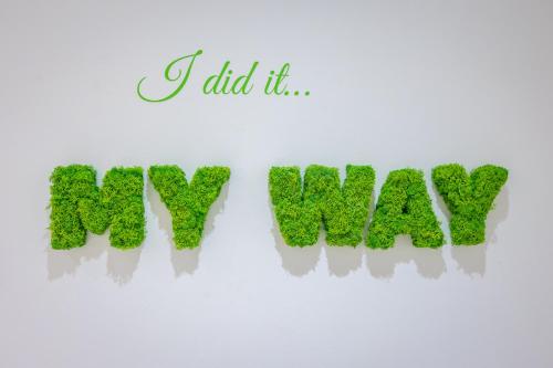  My Way -  Room  picture :   Tea/Coffee maker    Shower    TV                           