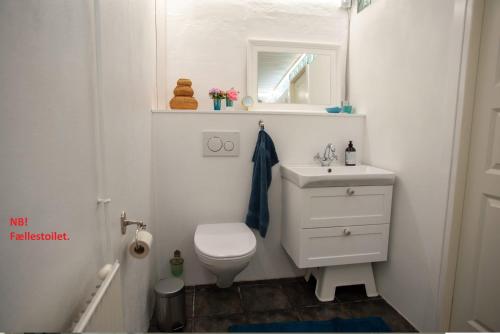 a bathroom with a white toilet and a sink at Æblehaven in Toftebjerg