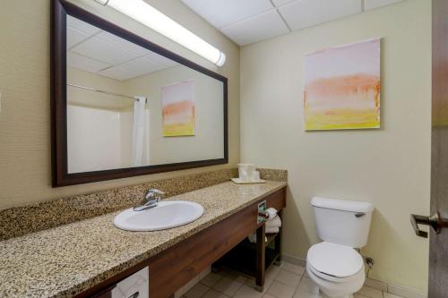 ein Badezimmer mit einem Waschbecken, einem WC und einem Spiegel in der Unterkunft Comfort Inn Bismarck in Bismarck
