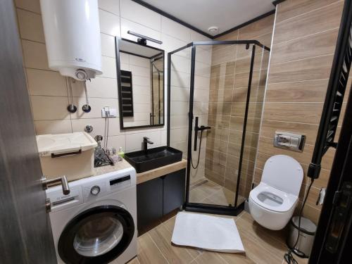 mała łazienka z pralką i toaletą w obiekcie Rajski kutak - Centar w mieście Kopaonik