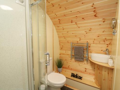 a bathroom with a shower and a toilet and a sink at Beacon View Pod in Knighton