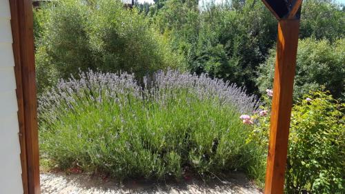Jardín al aire libre en Aleluya Patagónica