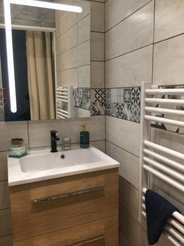 La salle de bains est pourvue d'un lavabo blanc et d'un miroir. dans l'établissement Le Nocla, à Aiguilhe