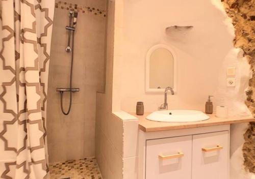 ein Bad mit einem Waschbecken und einer Dusche in der Unterkunft Studio Cocooning pour 2 personnes Cannes Suquet in Cannes