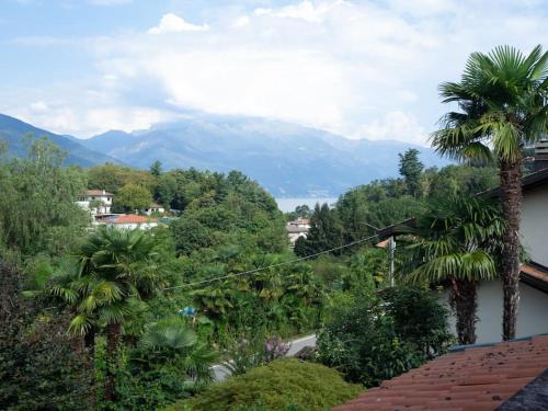 a view of a mountain from a house with palm trees at La tua villa sul Lago - Casa Kollegger in Luino