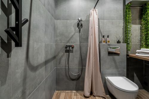 a bathroom with a shower and a toilet at CUTE Siauliai townhouse with terrace in Šiauliai