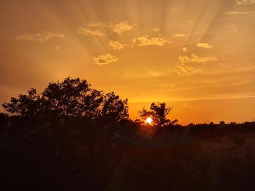 a sunset over a field with trees in the foreground at Casa Carpineta in Manciano