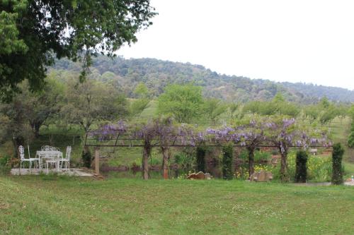 a garden with a table and chairs and purple flowers at Newstead Farm - Country Cottages in Curryʼs Post