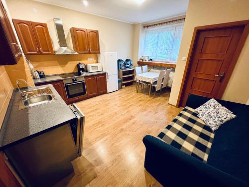 cocina y sala de estar con sofá y mesa en Apartmán Pod fontánou, en Kremnica