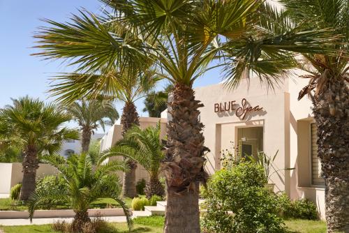 Κήπος έξω από το TUI BLUE Palm Beach Palace Djerba - Adult Only